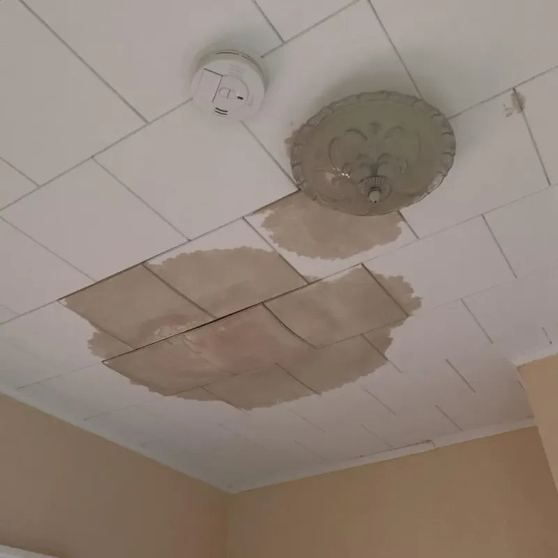 Ceiling Water Damage Repair in Midway North, TX