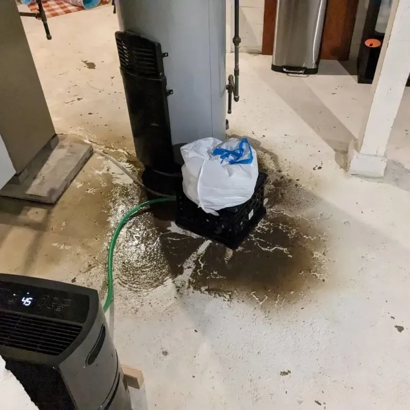 Sewage Backup Cleanup Service in Midway North, TX